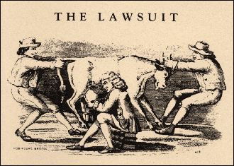 The Lawsuit