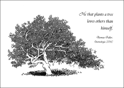 He that plants a tree